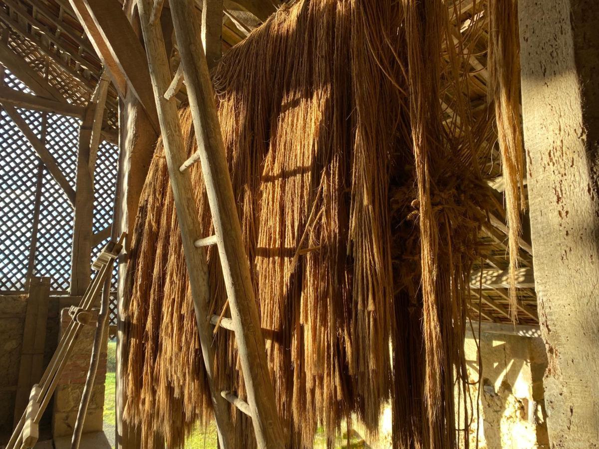 La Maison De Manon Mirande  Buitenkant foto